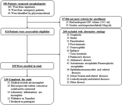 case study on meningitis pdf